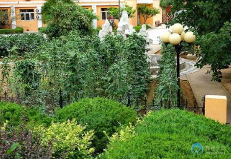 1619754692387009528.png image.png