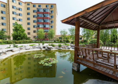 1620030359283008283.png image.png