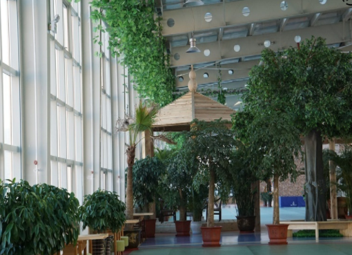 1620353906856000215.png image.png