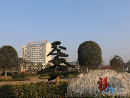 1620368552671025898.png image.png