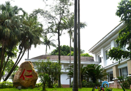 1620455939857026278.png image.png