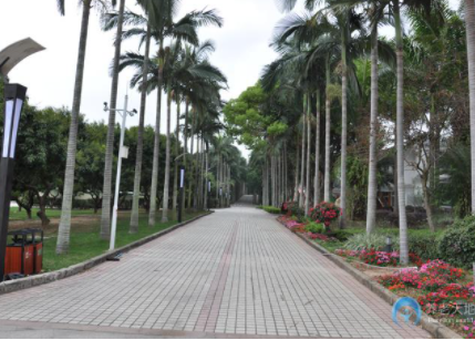 1620455952462089345.png image.png