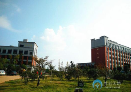 1620717466282005780.png image.png