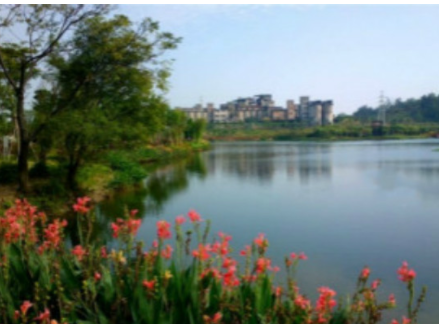 1620984411809003145.png image.png