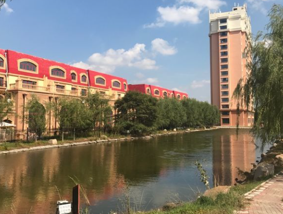 1621826980371050038.png image.png