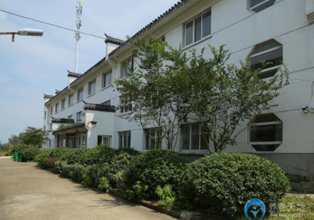 1621926942629063424.png image.png