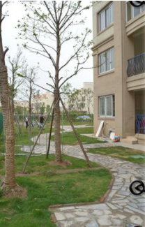 1622009562428092882.png image.png