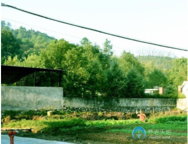 1622184684460083106.png image.png