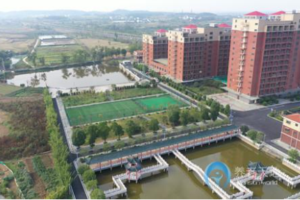 1622450522801057143.png image.png