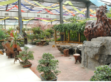 1622518872249075463.png image.png