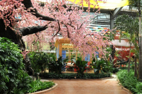 1622518884901088526.png image.png