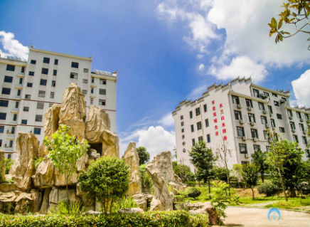 1622791938330004076.png image.png