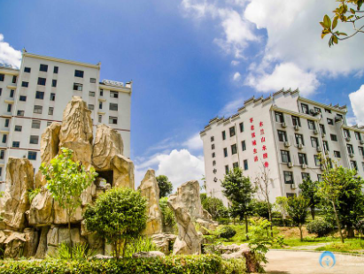 1622791967496090815.png image.png