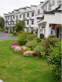 1623049142440014425.png image.png