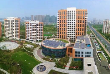 1623132217839005687.png image.png