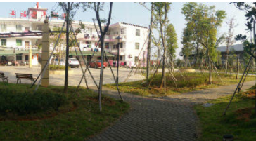 1623135204825061795.png image.png