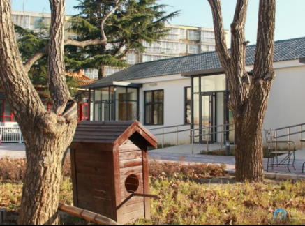 1623291855590036206.png image.png