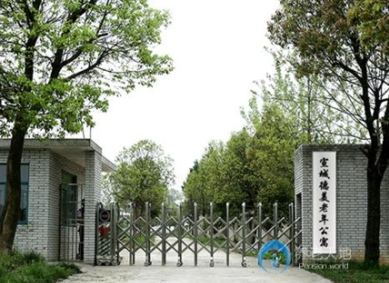 1623737779417063434.png image.png