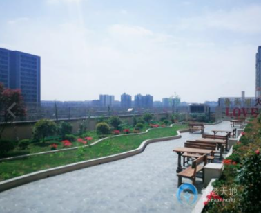 1623746993512015472.png image.png