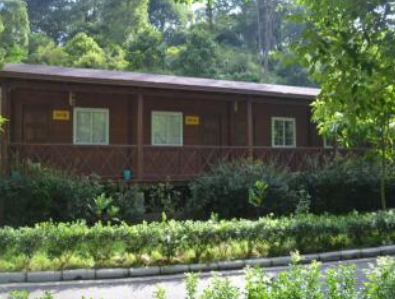 1623909558357066232.png image.png