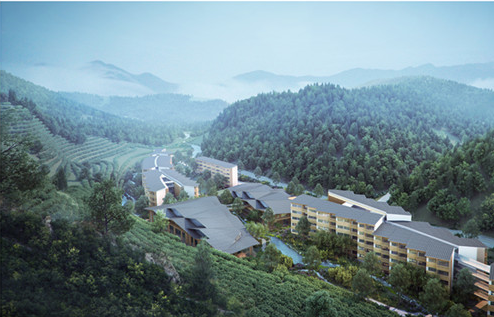 1625711461535057077.jpg 1625711461535057077.jpg