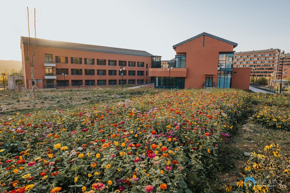 1626321051023092513.jpg 1626321051023092513.jpg