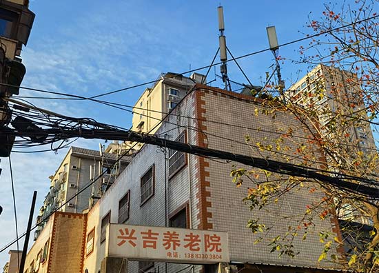 1627022633412010658.jpg 1627022633412010658.jpg