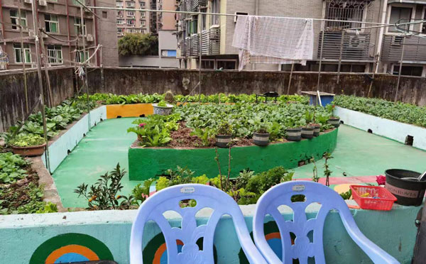 1627023888258051610.jpg 1627023888258051610.jpg