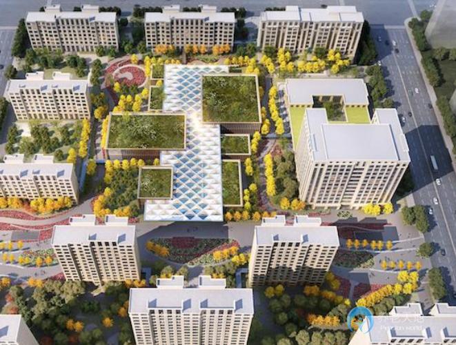 1628215531648003415.jpg 1628215531648003415.jpg