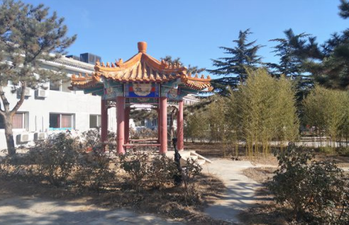 1628319060937099559.png 2.png