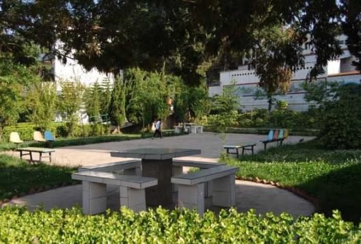 1628668868950042831.png 1.png