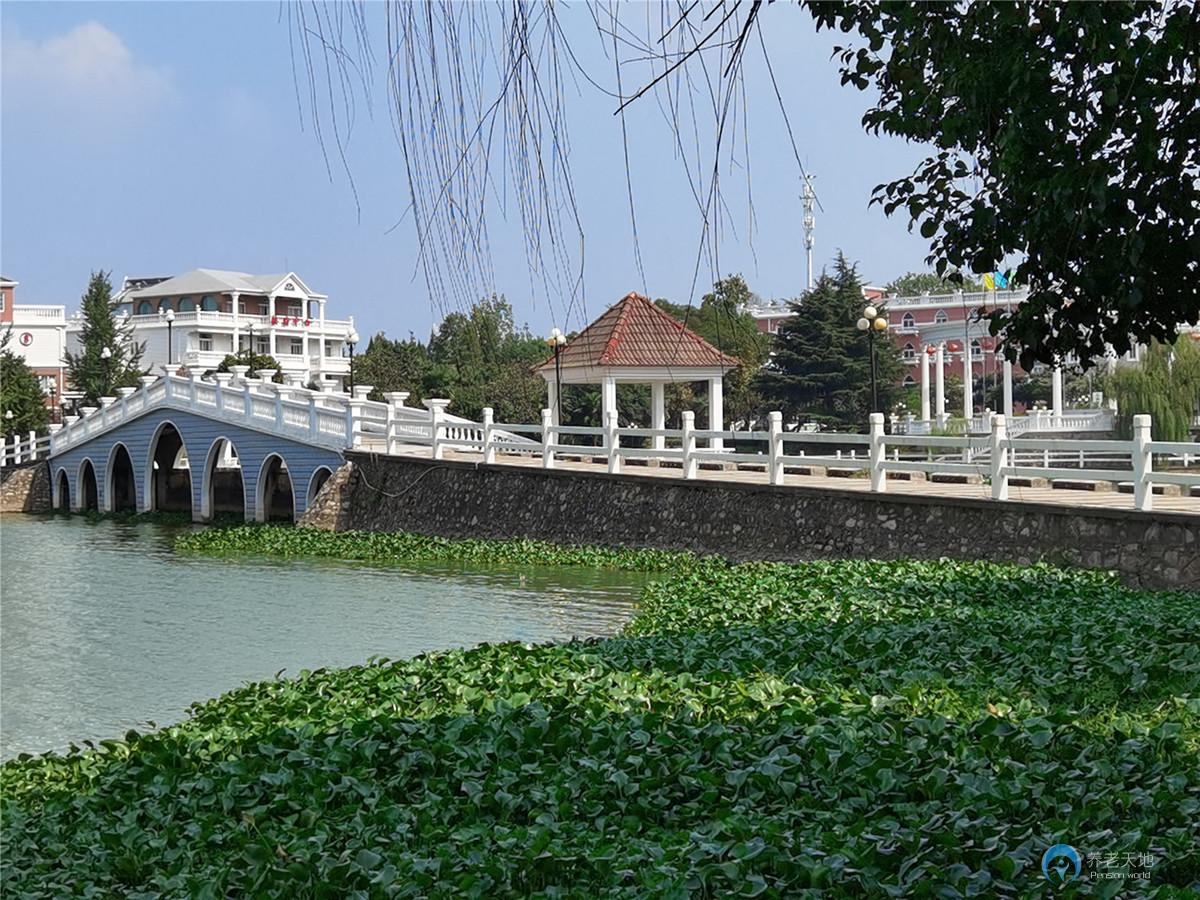 1629251627699006999.jpg 1629251627699006999.jpg