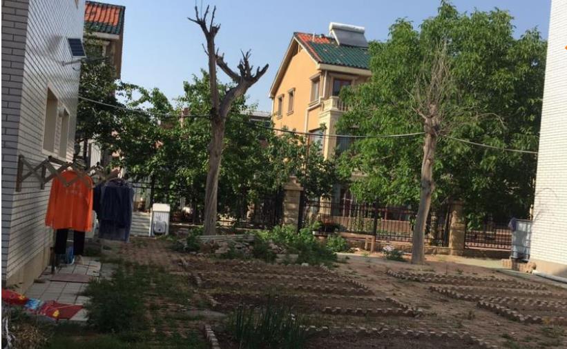 1631672857195064552.jpg 1631672857195064552.jpg