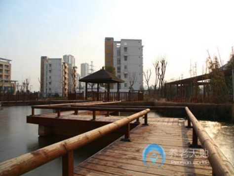 1635323975968011132.png 1.png