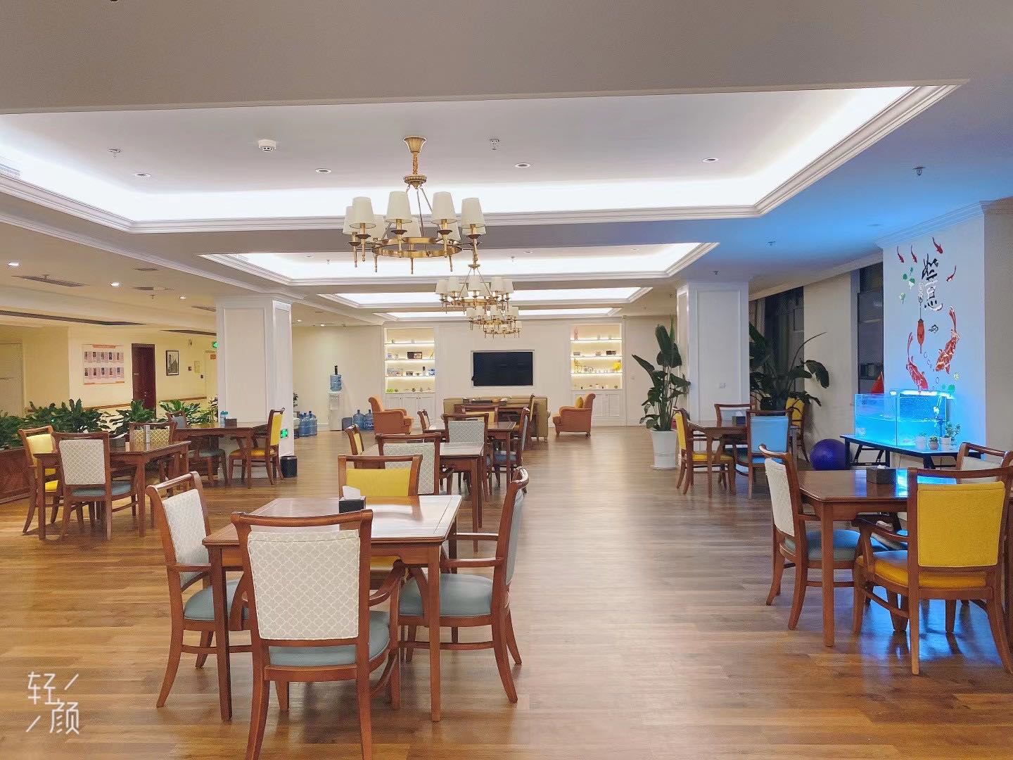 1636363579845053521.jpg 1636363579845053521.jpg