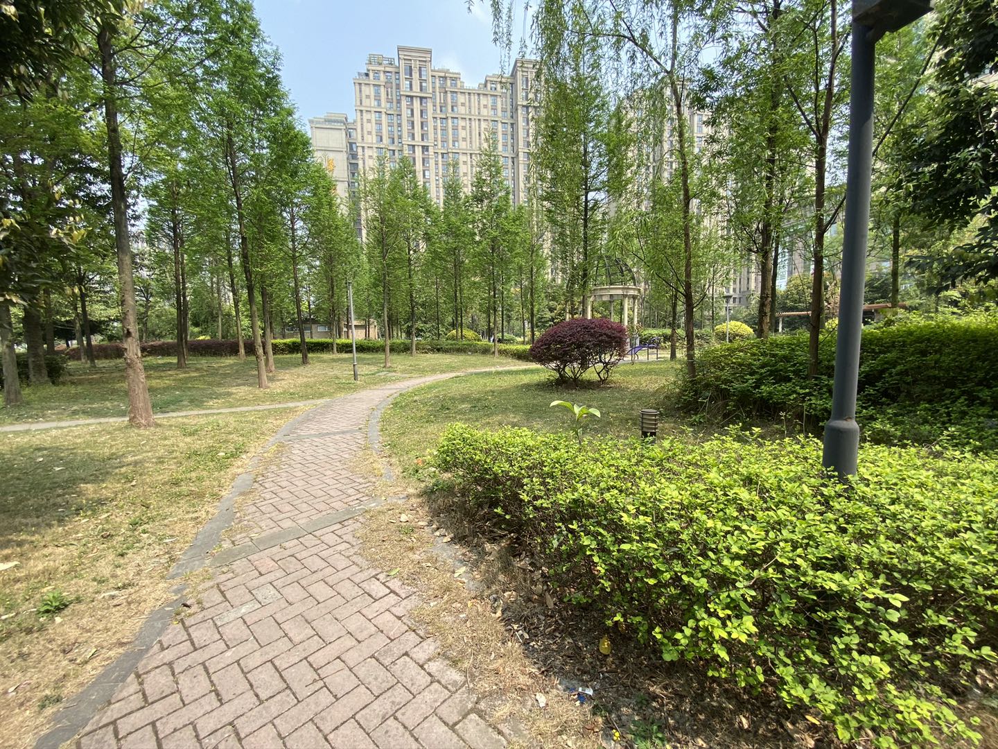 1636363732393072348.jpg 1636363732393072348.jpg