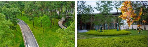 1640312859199066576.jpg 1640312859199066576.jpg