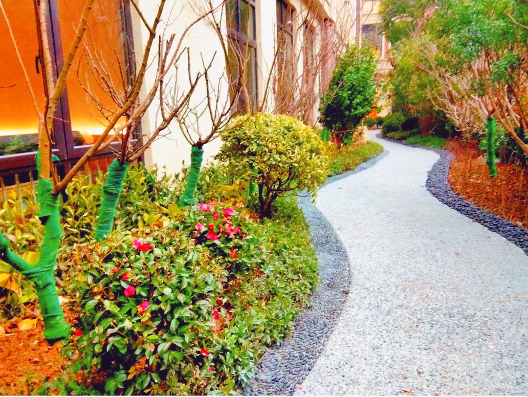 1658297753542009415.jpg 1658297753542009415.jpg