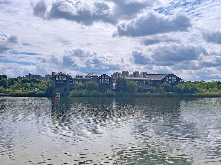 1664356539560040661.jpg 1664356539560040661.jpg