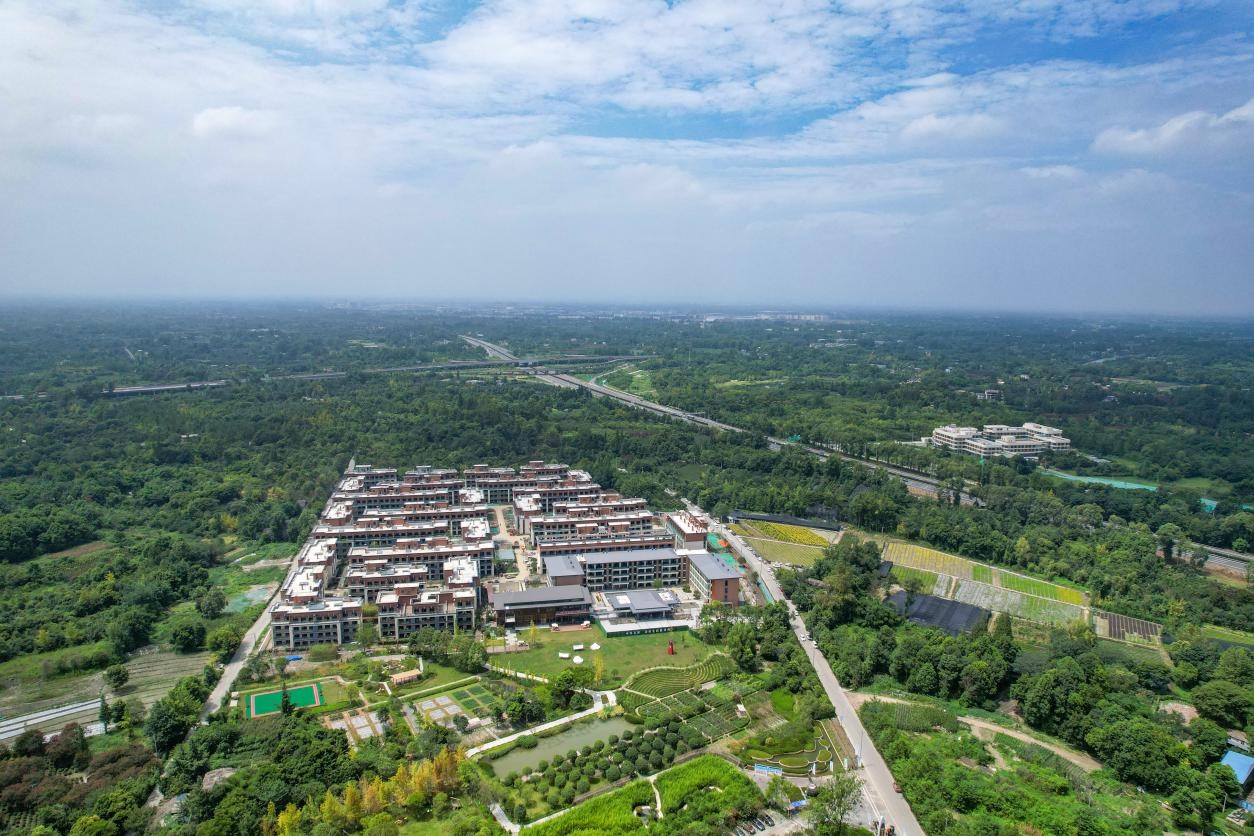 1667195121892079682.jpg 1667195121892079682.jpg