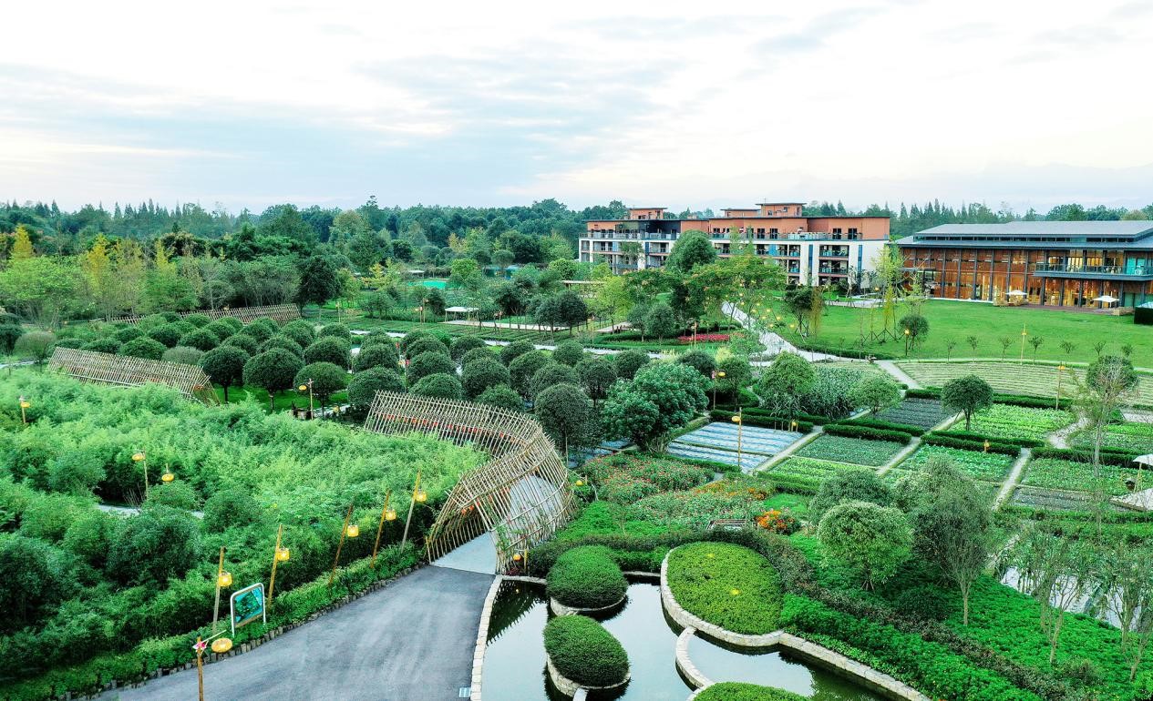 1667195137468087316.jpg 1667195137468087316.jpg