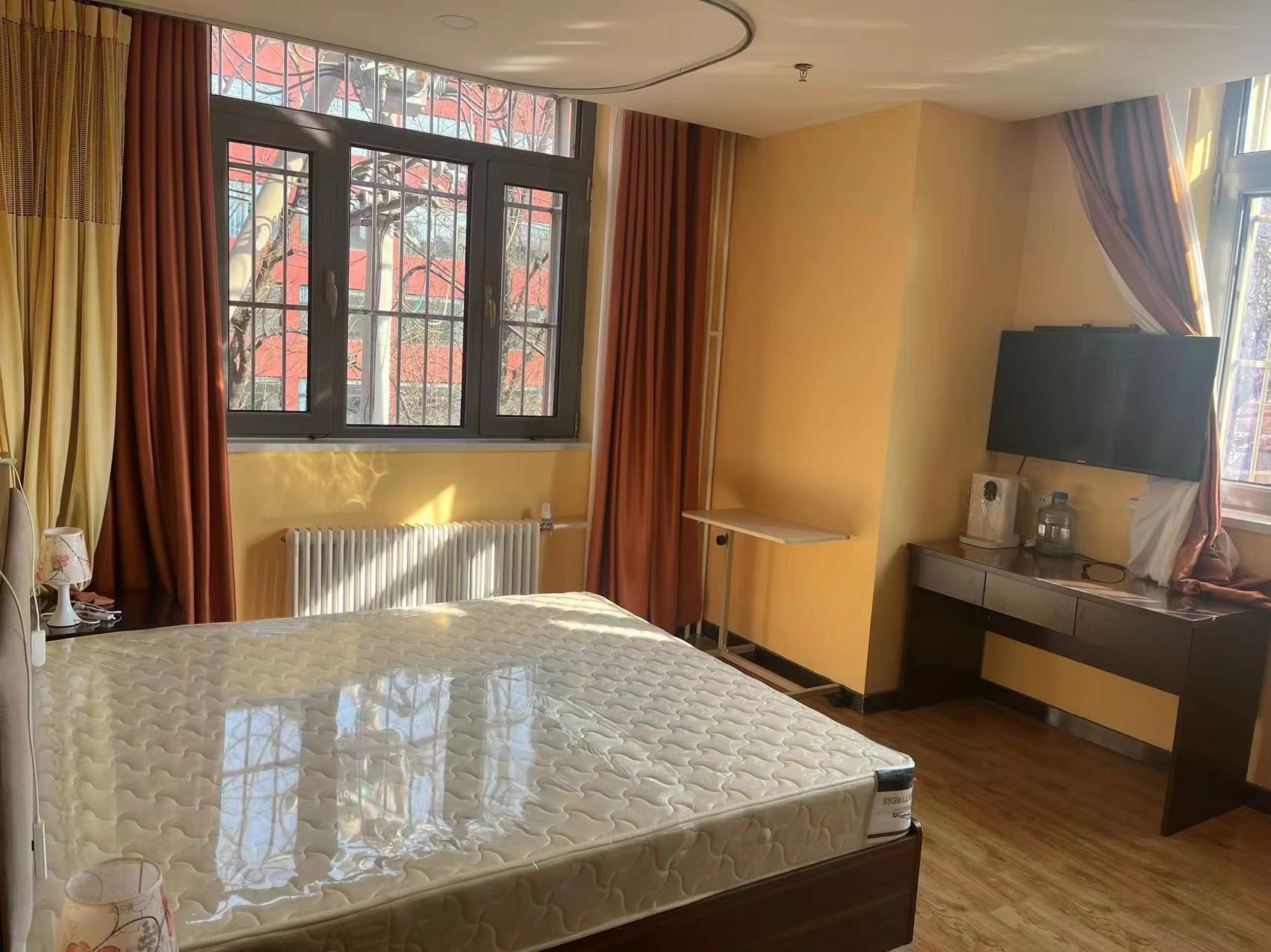 1677634116066063814.jpg 1677634116066063814.jpg