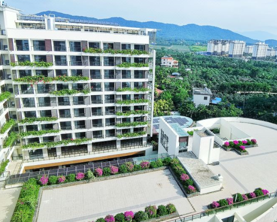 1677810280841002275.png 1.png