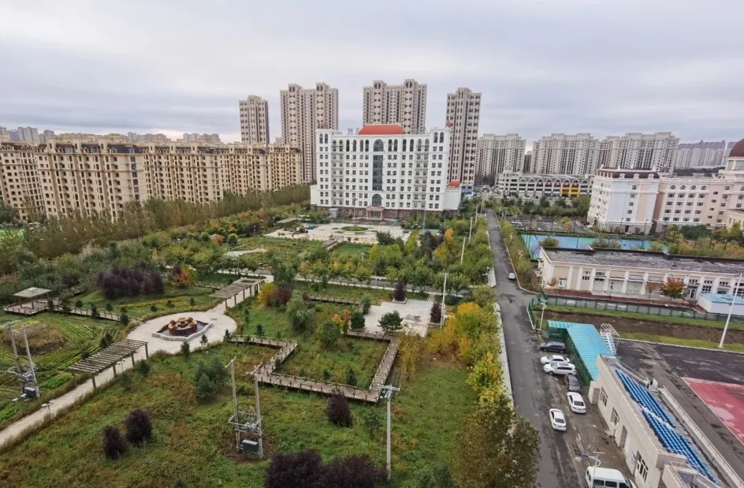 1687230350274019818.jpg 1687230350274019818.jpg