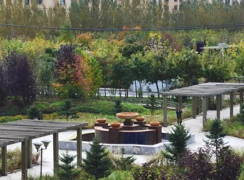 1687230366457069226.jpg 1687230366457069226.jpg