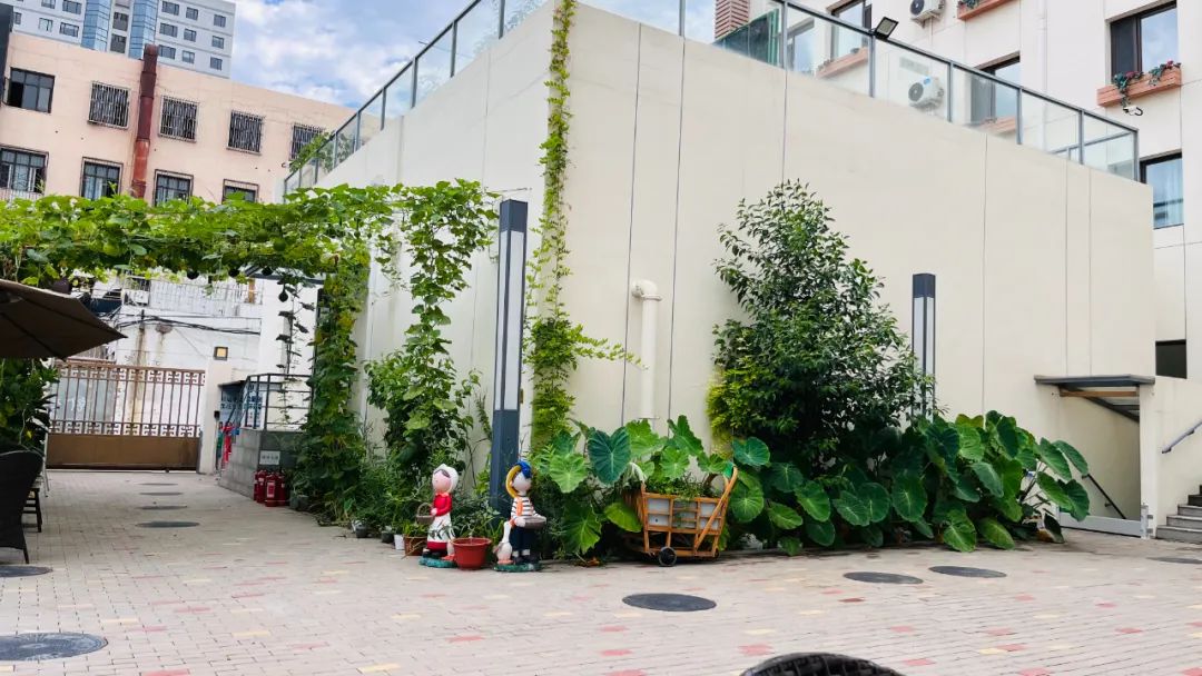 1694141214103071747.jpg 1694141214103071747.jpg