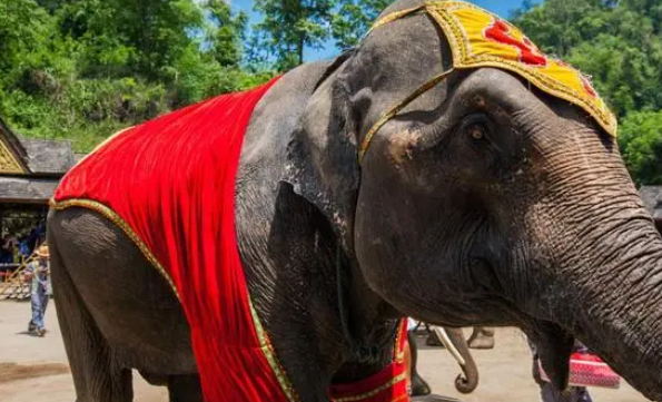 1694657291363018550.png 3.png