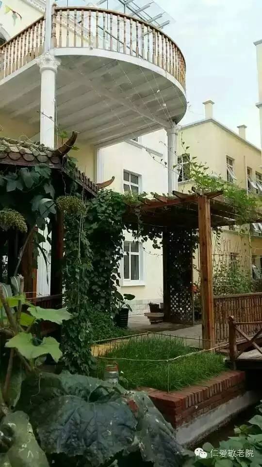 1694740399158016069.jpg 1694740399158016069.jpg