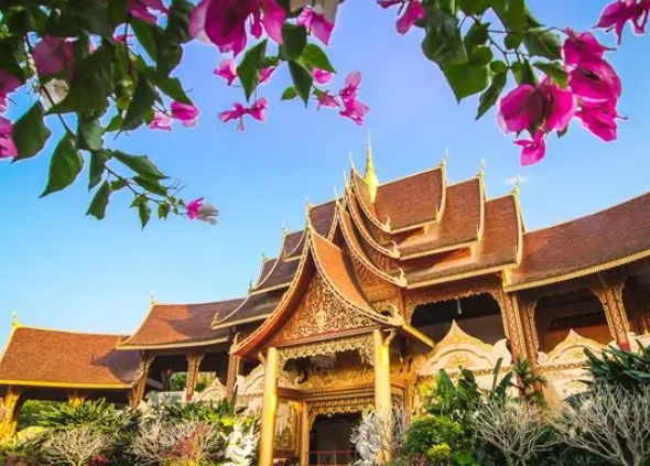 1698116824906039479.png 1.png