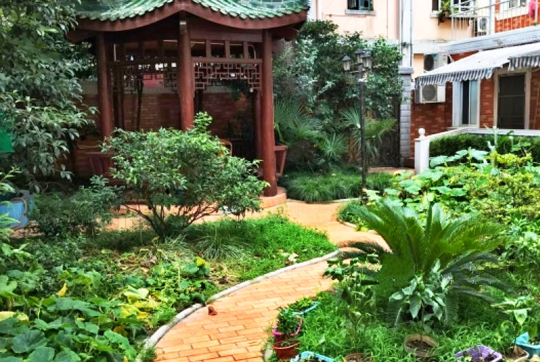 1698370766774014053.jpg 1698370766774014053.jpg